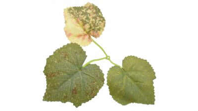 ZO Ghillie Crafting Leaves 50pc Set 6