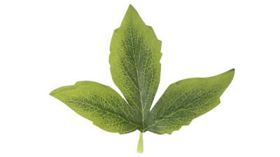 ZO Ghillie Crafting Leaves 50pc Set 11