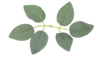 ZO Ghillie Crafting Leaves 50pc Set 9