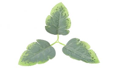 ZO Ghillie Crafting Leaves 50pc Set 12