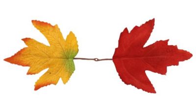 ZO Ghillie Crafting Leaves 20pc Set 19