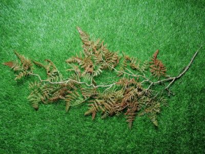 ZO Ghillie Crafting Ferns (Winter Brown)