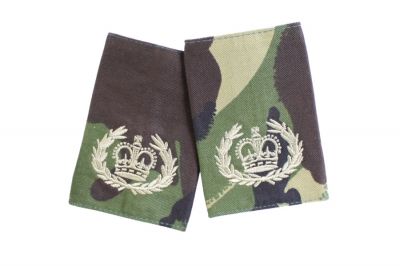 Rank Slide Pair (DPM) - WO2 RQMS