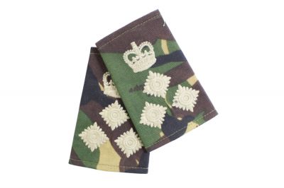 Rank Slide Pair (DPM) - Brigadier