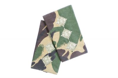 Rank Slide Pair (DPM) - Captain