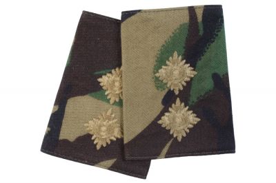 Rank Slide Pair (DPM) - Lieutennant